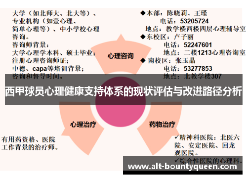 西甲球员心理健康支持体系的现状评估与改进路径分析