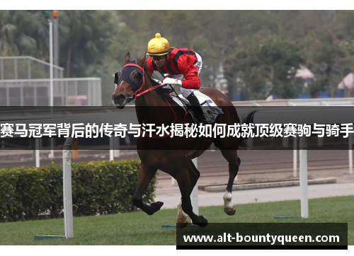 赛马冠军背后的传奇与汗水揭秘如何成就顶级赛驹与骑手